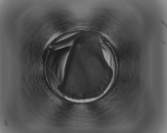 X0000091681450200709201229