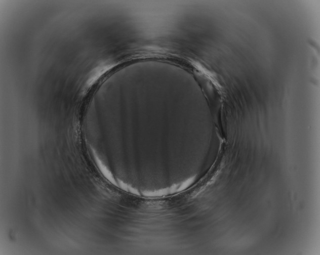 X0000091681453200709201229