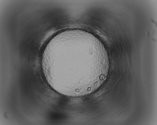 X0000091681454200709201229