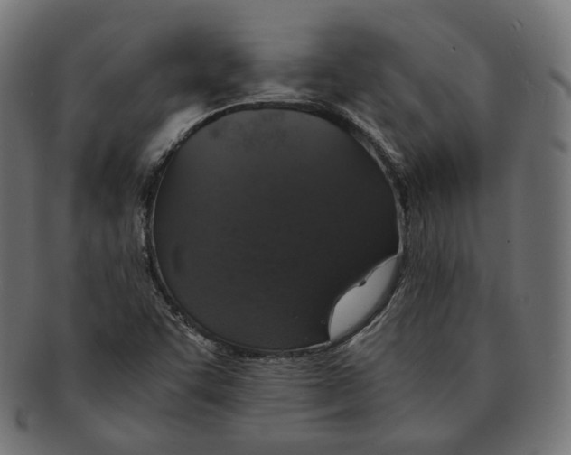 X0000091681455200709201229