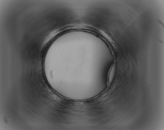 X0000091681456200709201229