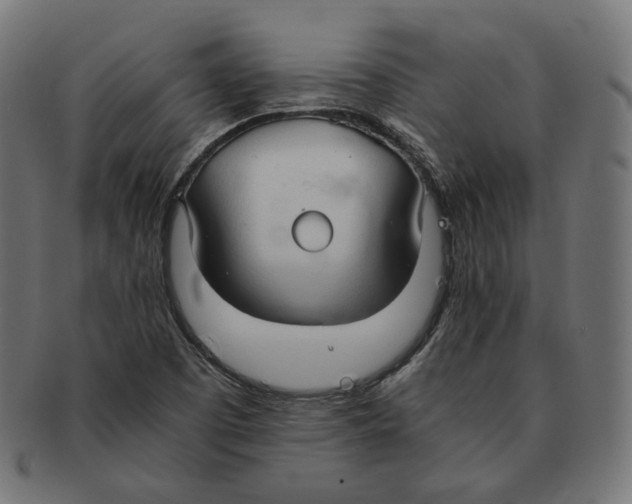 X0000091681457200709201229