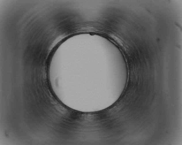 X0000091681458200709201229