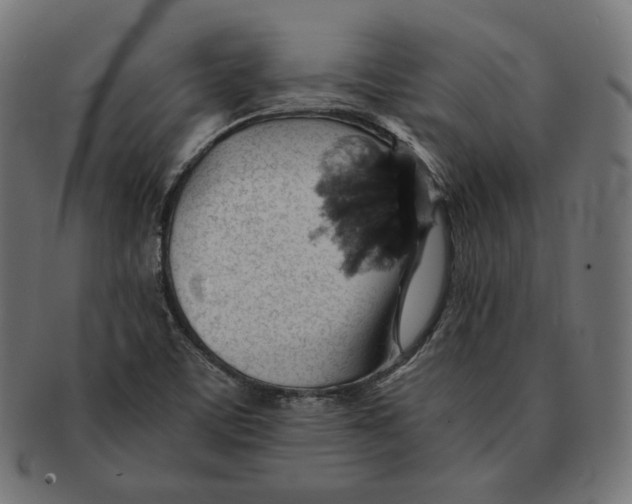 X0000091681459200709201229