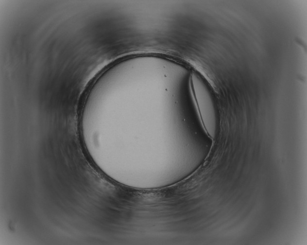 X0000091681460200709201229