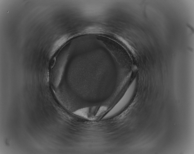 X0000091681461200709201229