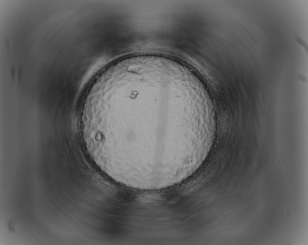 X0000091681462200709201229