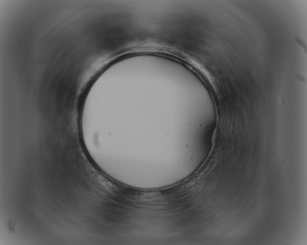 X0000091681464200709201229