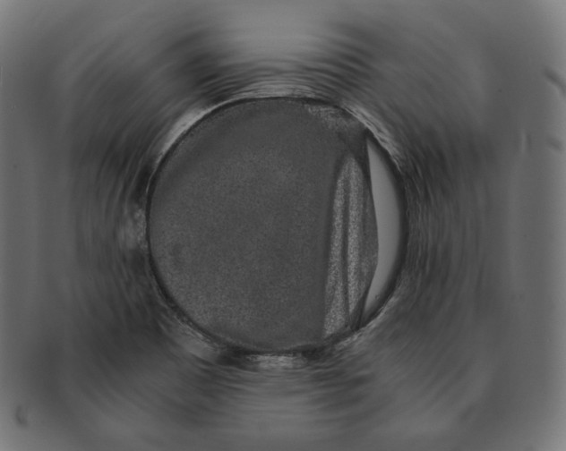 X0000091681465200709201229