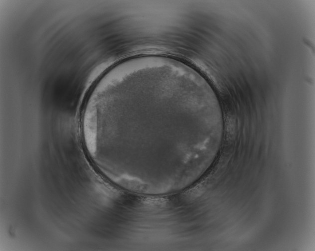 X0000091681466200709201229