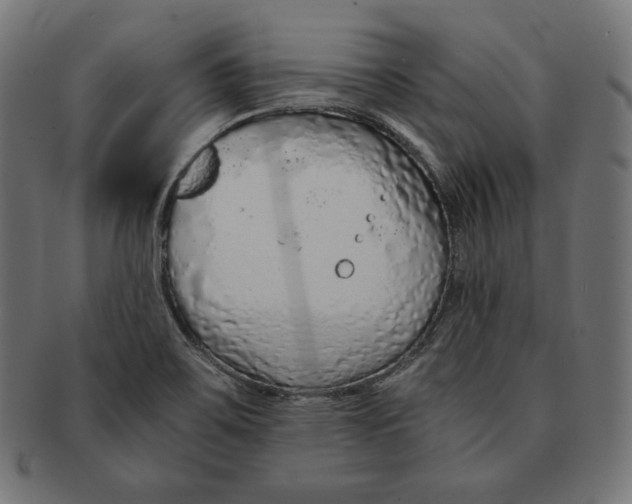 X0000091681467200709201229