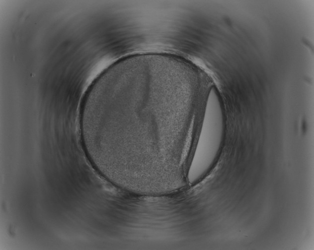 X0000091681469200709201229