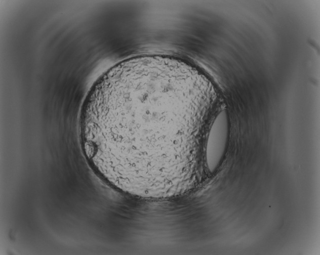 X0000091681471200709201229