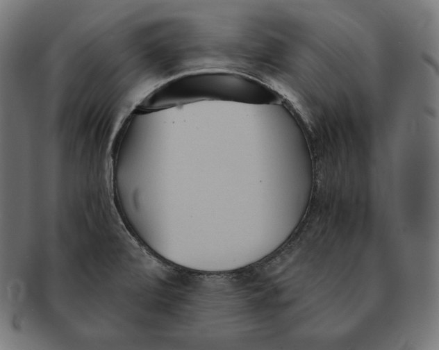 X0000091681472200709201229