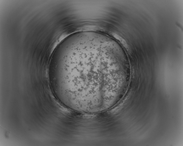 X0000091681473200709201229