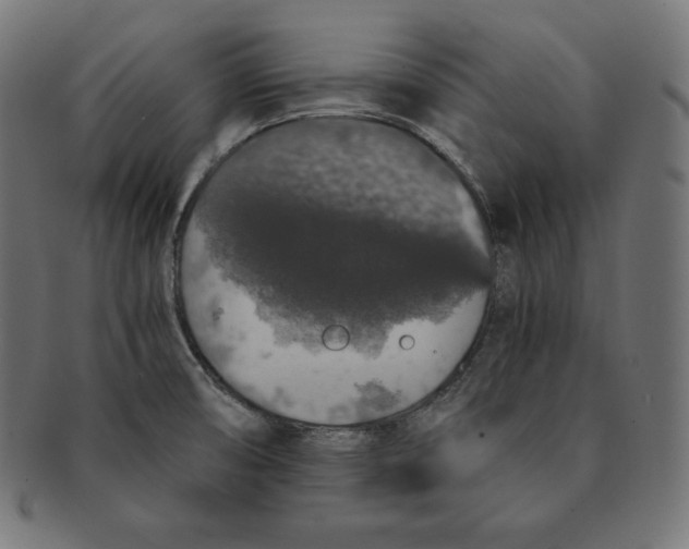 X0000091681474200709201229