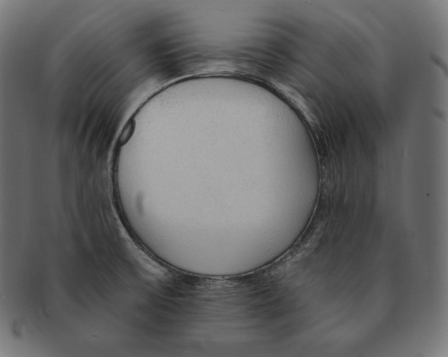 X0000091681475200709201229