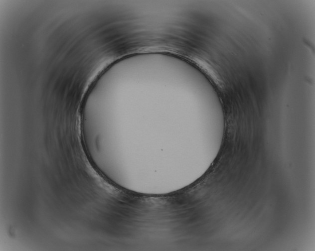 X0000091681476200709201229