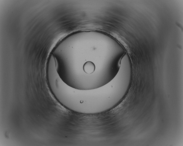 X0000091681477200709201229