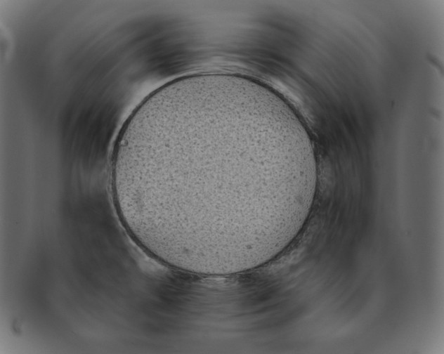 X0000091681478200709201229