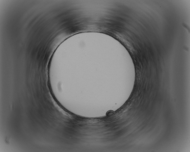 X0000091681479200709201229