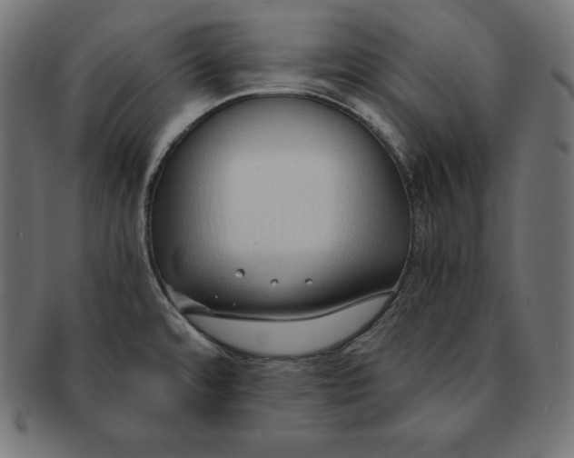 X0000091681480200709201229