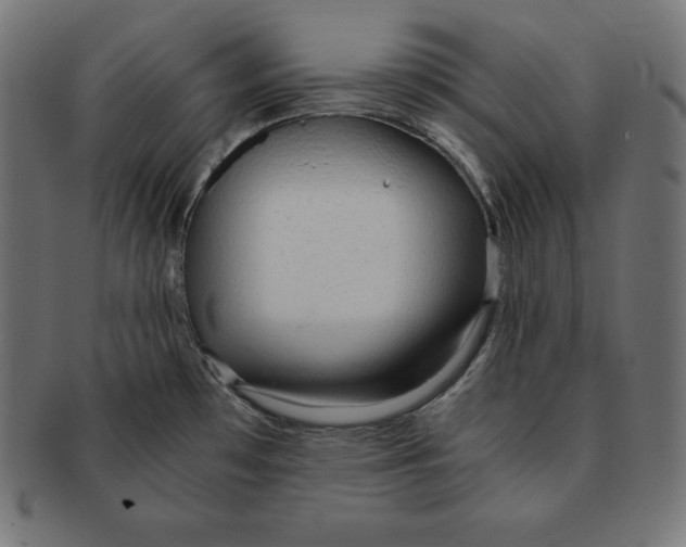 X0000091681481200709201229