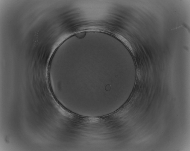 X0000091681482200709201229