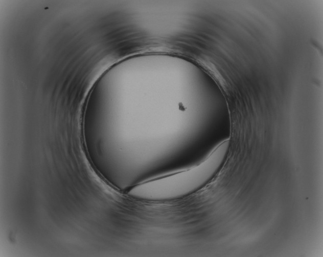 X0000091681483200709201229