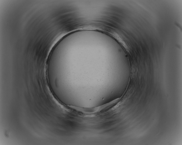 X0000091681484200709201229