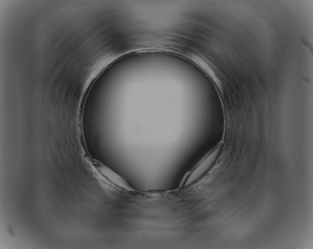 X0000091681485200709201229