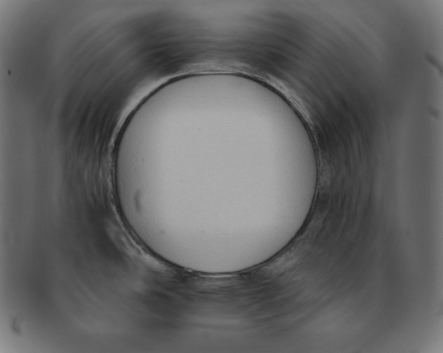 X0000091681486200709201229