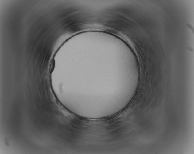 X0000091681488200709201229