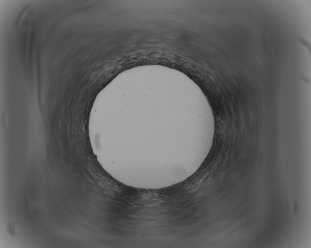 X0000091681489200709201228