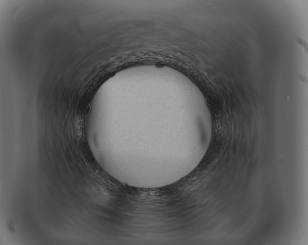 X0000091681490200709201228