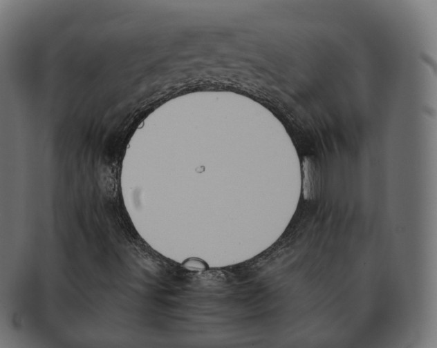 X0000091681491200709201228