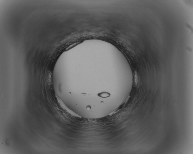 X0000091681492200709201228