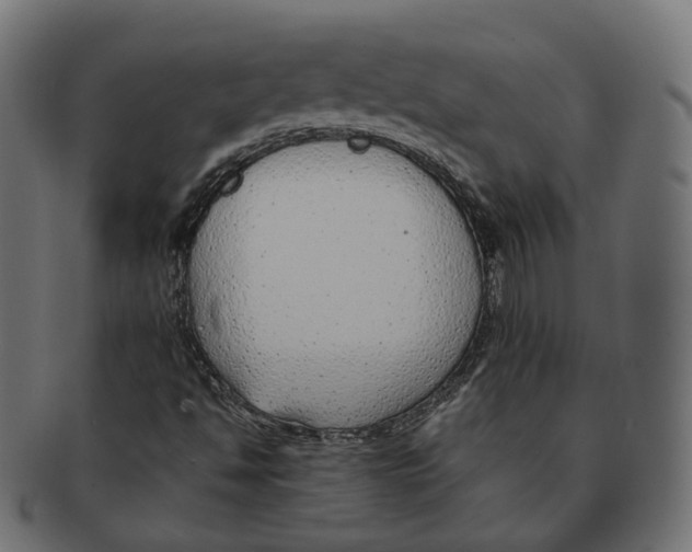 X0000091681494200709201228