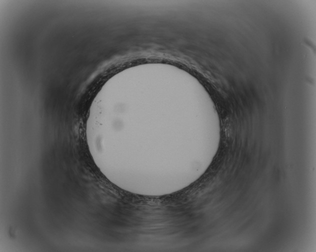 X0000091681495200709201228