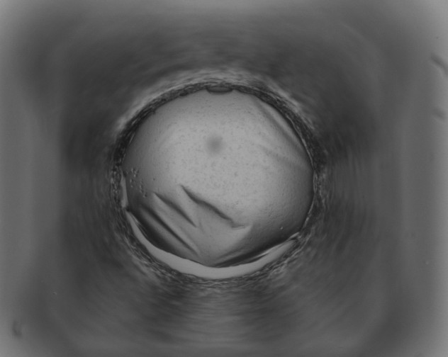 X0000091681496200709201228