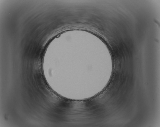 X0000091681498200709201228