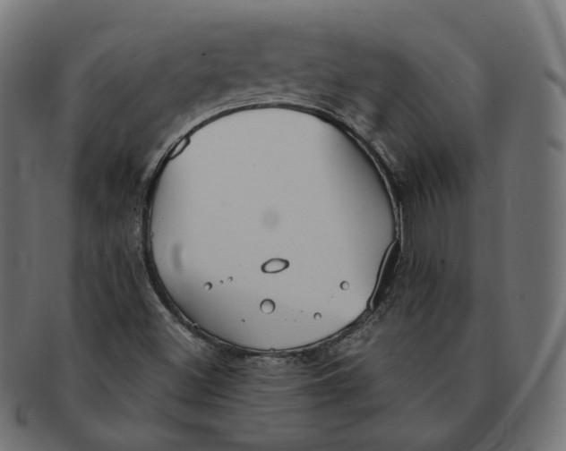 X0000091681500200709201228