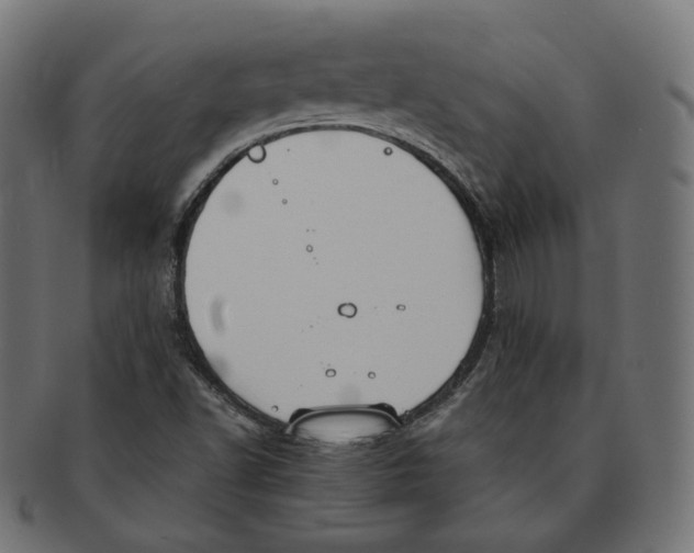 X0000091681502200709201228