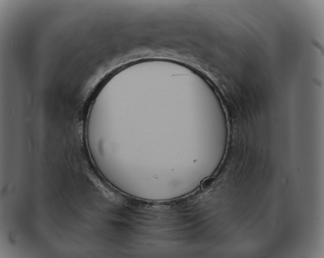 X0000091681503200709201228