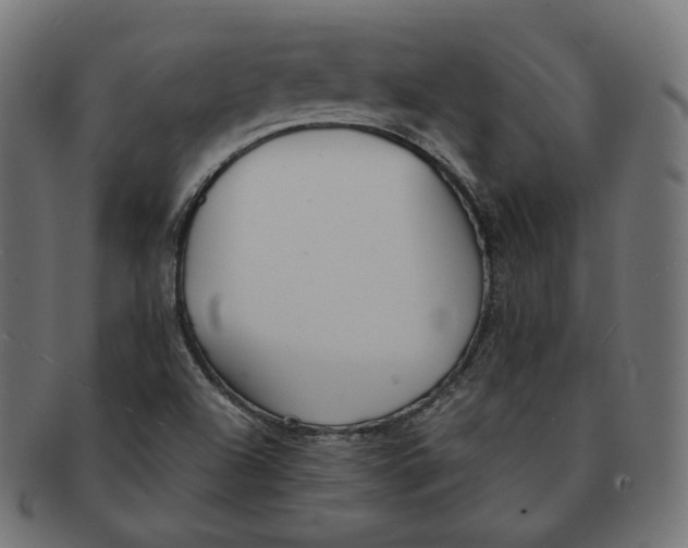 X0000091681504200709201228