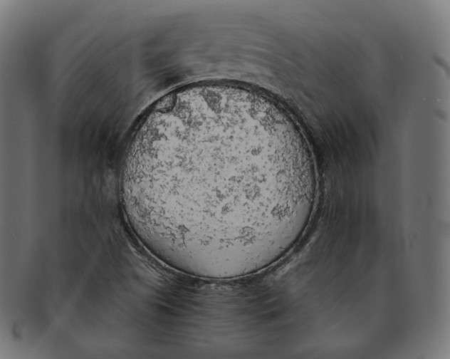 X0000091681505200709201228