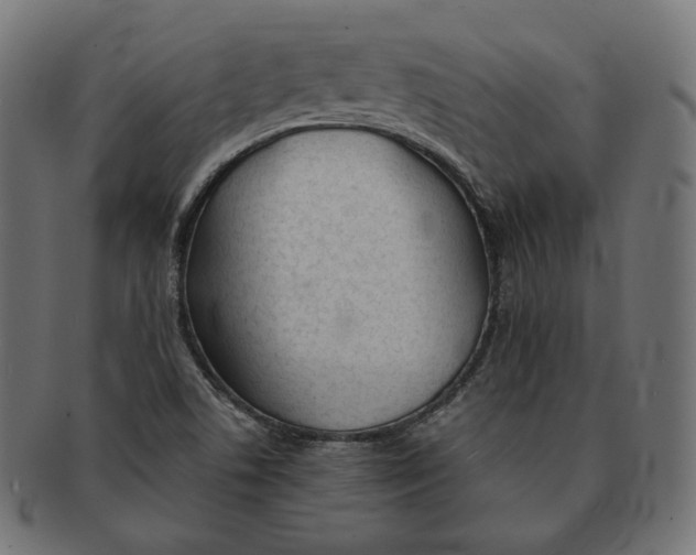 X0000091681506200709201228