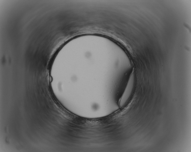 X0000091681509200709201228