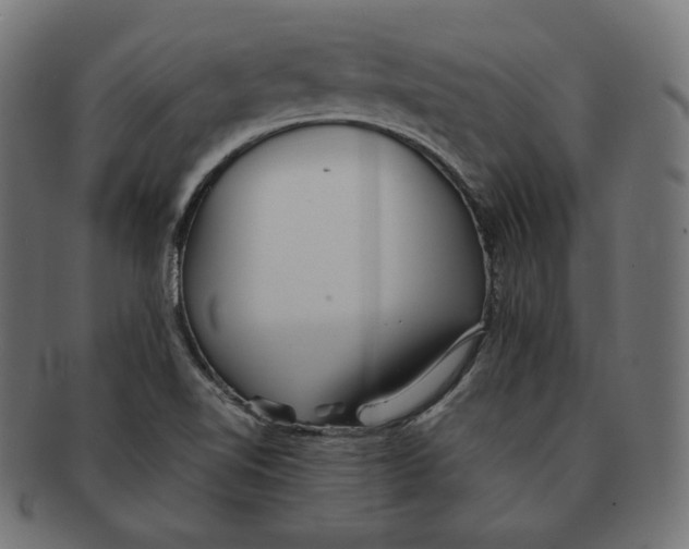 X0000091681510200709201228