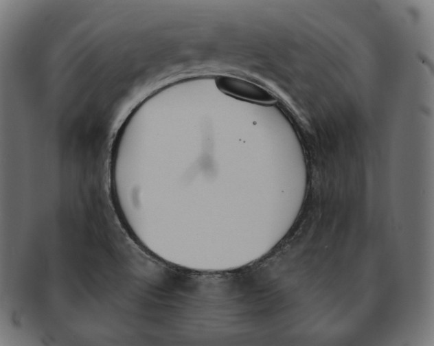 X0000091681512200709201228